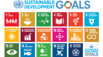 My Thought of How to Contribute to Sustainable Development Goals When I was a Young Student