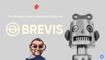The Binance Labs Investment Observer - The DeFi Optimization Platform Brevis