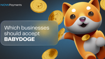 Which companies should accept BabyDoge