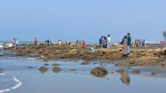 Another day in the coxbazar inanai beach.