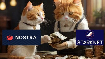 How To Earn Starknet (STRK) Token Instead Of Buying It