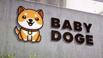 A Quick Look At Baby Doge Coin Tokenomics - The Next x1000?