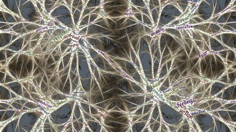 The roots of everything — who is in control?