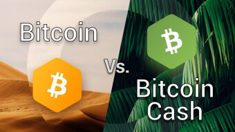 Bitcoin Cash (BCH) is better than Bitcoin (BTC)  in what sense?