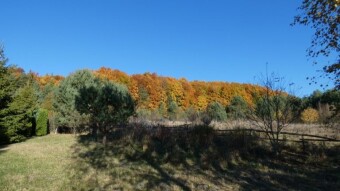 Beautiful autumn colours in the Kraków-Częstochowa Upland - today we still remember