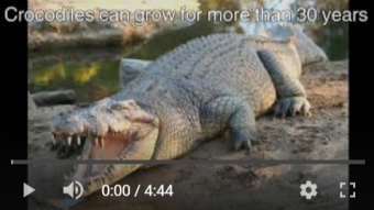 Animals with their Amazing Facts 👀 (My own Video)