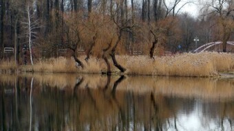 A leisurely walk on a windless day - My Actifit Report Card: February 22 2023