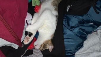 LOCOstories #25 This is not an upside down photograph!!!!!
