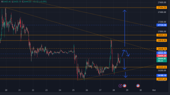 Bitcoin: Recovery in Progress