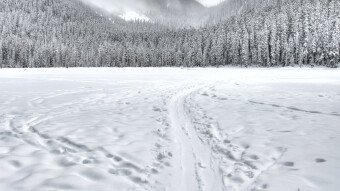 No more snow