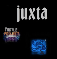 Juxta and The Turtle Project - Crash And Burn (Sick Shark Remix)