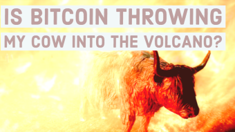 Is Bitcoin throwing my cow into the volcano?