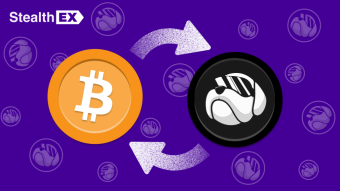 Where And How To Buy HOGE Coin?