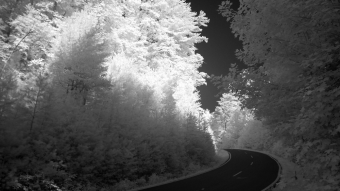 Winding road in the forest - Infrared Photography