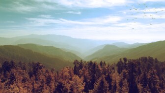 Home Stays in the Vicinity of Shimla : Mesmerizing Himachal in North India