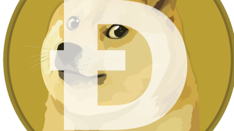CryptoBUY: DogeCoin the pet of Elon Musk 🐕