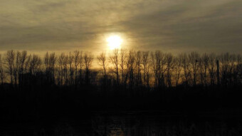 Another beautiful, almost winter day