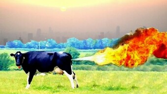 Cows Are Carbon Neutral!