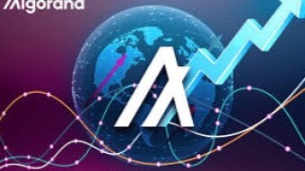 What the Heck is an Algorand? (And how to do I get some for free?)