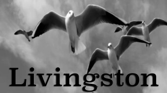 Ugochill - Livingson, the new single, out now!