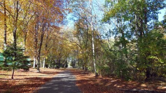 Continuation of beautiful autumn weather - first November walks - My Actifit Report Card: November 2 2023