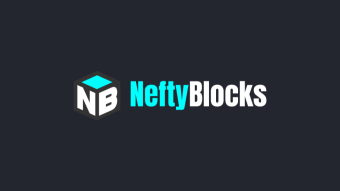 NeftyBlocks: : A Beginner's Guide