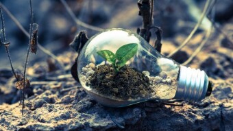 Climate Friendly Cryptos are the Future of the Advanced Digital Era