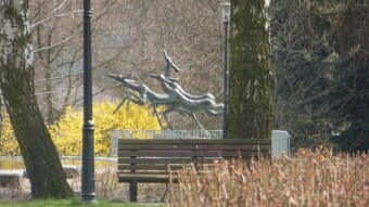 Winter is back, hopefully just for a while - My Actifit Report Card: April 6 2023
