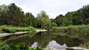 Only memories of the summer's lush greenery remain