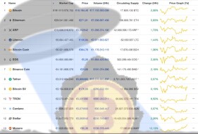 Green Day in the Crypto Market