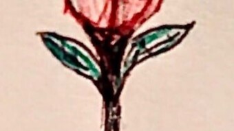 Happy St. Jordi to all!