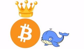Now monitoring malicious whale addresses is a reality thanks to the new Whale-alert tools.