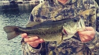 The 4 Lures Every Bass Angler Should Carry