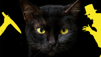 A Black Cat and a Yellow Room