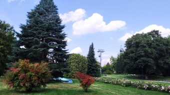 Today it's quite cold and there's a lot of rain, but that's what the earth needs - My Actifit Report Card: September 6, 2025