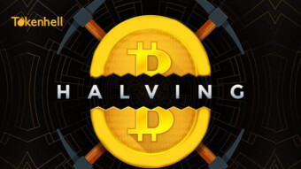 ‘’Bitcoin Halving’’ Google Searches Surge Exponentially while ‘’Bitcoin’’ Searches are Declining