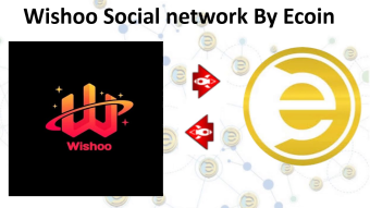Is Ecoin genius or crazy?