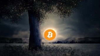 Let's Explore The World Of Passive Crypto Income - Part 3