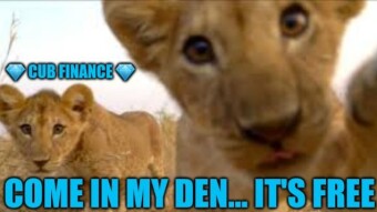 March Income Review: The Cub with Diamond Paws and the contagious laughter!