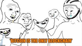 Is maximalism healthy for cryptocurrency and blockchain adoption?