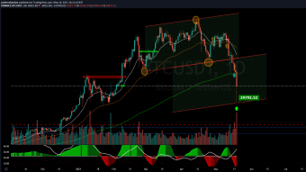 Neo Fractal Trading Update #1