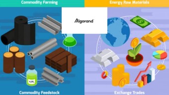 Utilising the Algorand Blockchain in Africa's Raw Material Industry