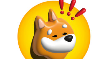 DON'T BUY DOG COINS!