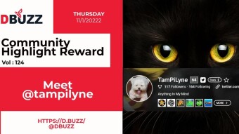 D.Buzz Community Highlight: @tampilyne