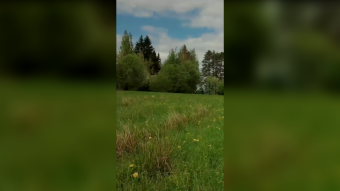 Native land on the wings of the wind