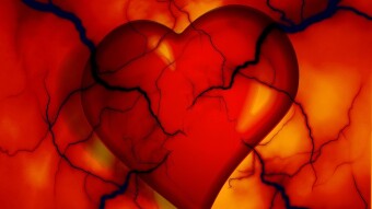 Heart Disease and Regular Physical Exercise