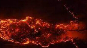 Inferno in the Heart of One of World Oldest Forests