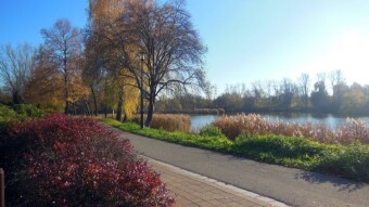 This day does not remind me of November 1 at all. It was wonderfully warm - My Actifit Report Card: November 1 2024