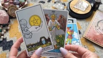 7 Of Pentacles (Coins) - Upright, Reversed, Love, and Career!