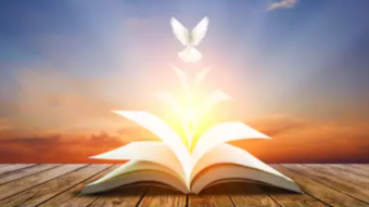 I believe what I read in the Word of God